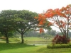 bali-beach-golf-2.jpg