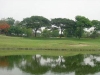 bali-beach-golf-3.jpg