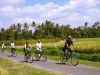 ubud cycling 1