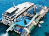 reef-cruise.jpg