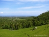 sawah.jpg