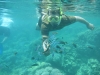 snorkeling-menjangan