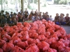 Charity program 5